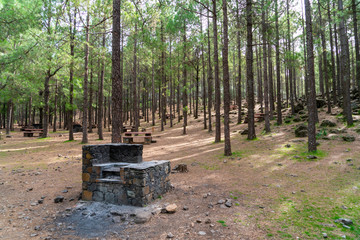 Recreation place in the woods in Gran Canaria with benches and grill spots