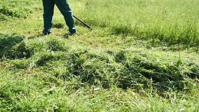Slow motion footage of a farmer hand mowing the grass on a meadow with a scythe