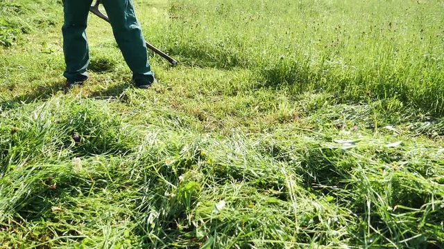 Slow motion footage of a farmer hand mowing the grass on a meadow with a scythe
