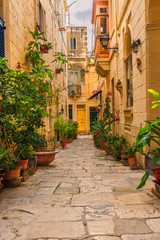 Fototapeta na wymiar Valletta, Malta. Old medieval empty street with yellow buildings and flower pots. Vertical orientation