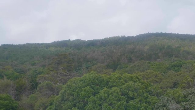 Cable Car Ride to Arvi Park with View of Green Hills, Trees and a Lot of Plants,  Some houses Away from the City in Antioquia / Colombia
