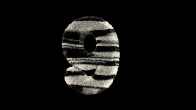 3D animated furry hairy zoo leopard text typeface with alpha channel  9