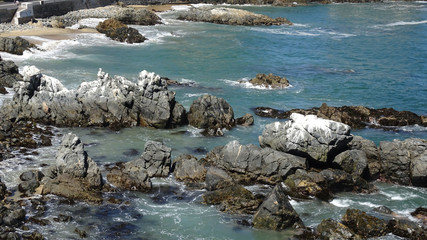 Fototapeta na wymiar marine coast of viña del mar