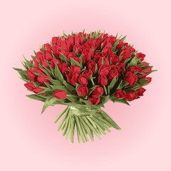 bouquet of roses, red flowers