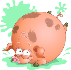 Funny vector drawing. Merry pig in the shape of a ball jumps into a puddle on a background of splashes.