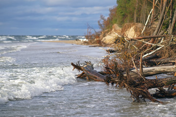 The view of a flooded coastline with fallen trees during the storm in Riga, Latvia. Lielupe river estuary to the Baltic sea