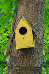 Yellow wooden birdhouse on tree. Nesting box for wild birds. House for birds
