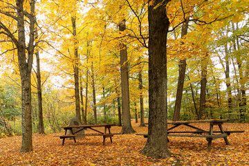 Overlooking of Beautiful Autumn Foliage at Stowe, Vermont, USA