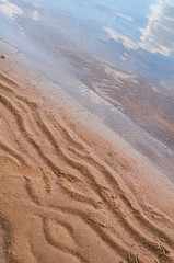 Shore sandy beach with piece clean water. Close up
