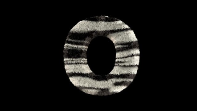 3D animated furry hairy zoo leopard text typeface with alpha channel  O