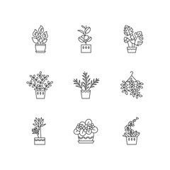 Domesticated plants pixel perfect linear icons set. Houseplants. Violet, ficus, monstera. Lily, pothos. Customizable thin line contour symbols. Isolated vector outline illustrations. Editable stroke
