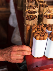 hands of a man making cigars