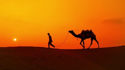 Cameleers, camel Drivers at sunset. Thar desert on sunset Jaisalmer, Rajasthan, India.