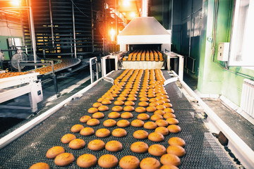 Bakery production line with sweet cookies on conveyor belt in confectionery factory workshop, food production manufacturing.