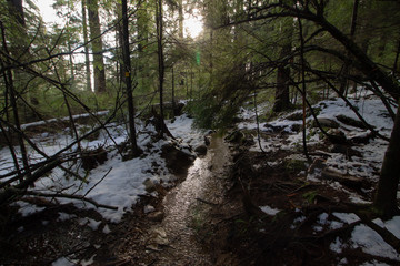 ハイキング, ノースバンクーバー, 雪