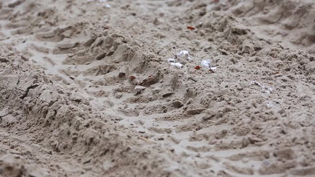 Wheels of an ATV drive through the sand. Wheel marks on wet sand. ATV goes off-road, close-up. Off-road driving.