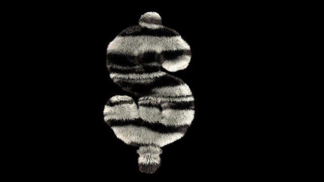 3D animated furry hairy zoo leopard text typeface with alpha channel  USD