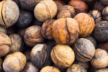 background of wet walnuts in a shell after the rain close-up