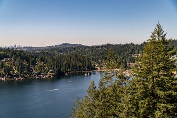 Fototapeta premium lake in the forest