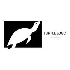 turtle logo vector