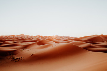 Sahara Desert - at sunrise, in Morocco