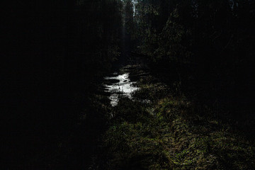 A puddle in the forest. Off-road in impassable naturalness. The road to Siberia. Frost in the fall.