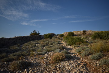 landscape in mountains