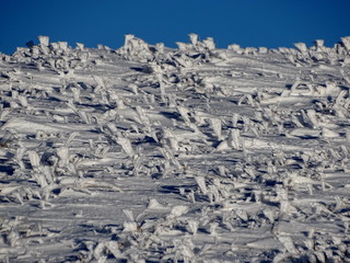 snow covered mountains
