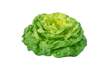 Lettuce salad head isolated on white