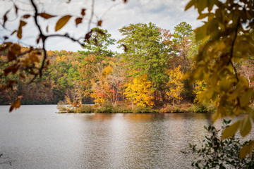 View of Fall Leaves on Lake