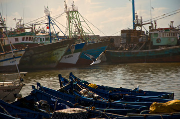 Fototapeta na wymiar boats in the harbor of Essaouira, Morocco