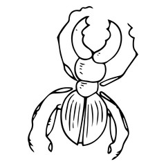 Bug icon. Vector illustration of a cartoon stag beetle. Hand drawn funny beetle.