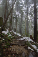 ハイキング, ノースバンクーバー, 雪