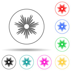 flower multi color style icon. Simple glyph, flat vector of flower icons for ui and ux, website or mobile application