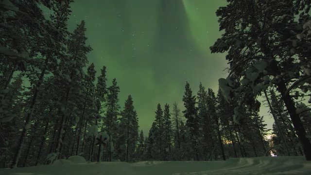A timelapse of a colourful aurora borealis above trees and snowmobile track going through the forest in winter Northern Lapland, Finland.