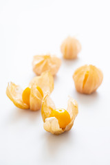 Edible chinese lantern plants on the white background