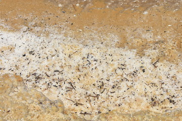 Salty sand closeup at the Dead Sea Israel