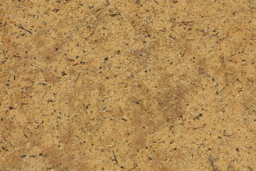 Salty sand closeup at the Dead Sea Israel