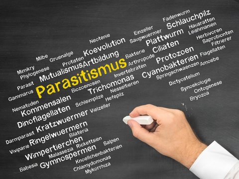 Parasitismus