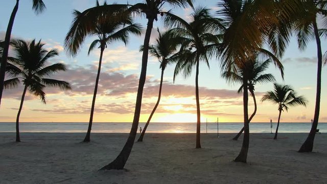 Dramatic sunset scene with sand beach, palm trees and blue ocean, idyllic coast, tranquility and serenity in tropical resort, Dominican Republic travel destination