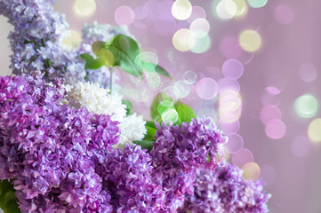Fototapeta na wymiar Purple lilac flowers spring floral background with bokeh lights