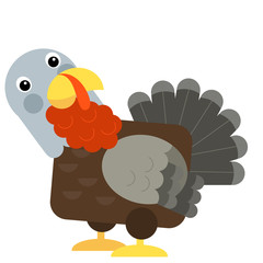 Cartoon funny turkey isolated on white background - illustration
