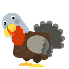 Cartoon funny turkey isolated on white background - illustration