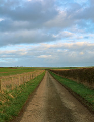 Fototapeta na wymiar Farm track leading to the horizon