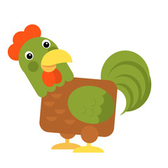 Cartoon funny bird chicken rooster isolated on white background - illustration