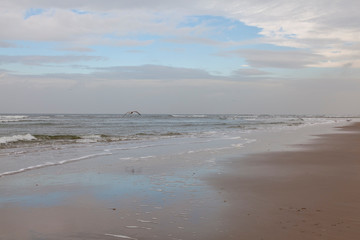 Nordseeinsel Texel