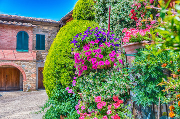 Colorful flowers and plants decorating buildings in Montalcino, Italy