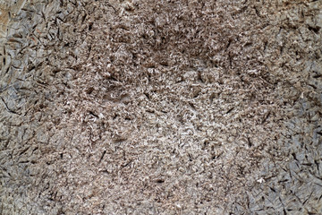 Texture of old wood with fibers, nicks, serifs, knife marks