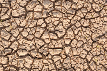 Dry soil results from lack of water.Global warming