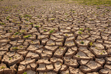 Dry soil results from lack of water.Global warming